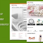 How-to-Choose-Magento-Theme