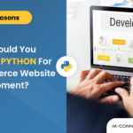 why should you choose python for ecommerce website development top reason