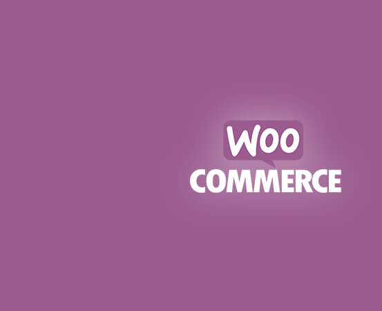 eCommerce Development Service Company In India & USA